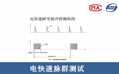 电快速脉群测试（EFT）